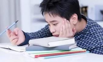 Sang năm mới, cha mẹ áp dụng những nguyên tắc này để con yêu thích việc học Sang năm mới, cha mẹ áp dụng những nguyên tắc này để con yêu thích việc học