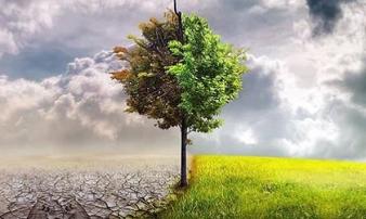 Các cụ nói: '49 chưa qua 53 đã tới', ý nghĩa thực sự là gì, có đáng sợ như lời đồn không? Các cụ nói: '49 chưa qua 53 đã tới', ý nghĩa thực sự là gì, có đáng sợ như lời đồn không?