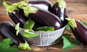 Loại quả được xem là “chiến binh” hàng đầu giúp ngừa ung thư, ít người biết mà mua về Loại quả được xem là “chiến binh” hàng đầu giúp ngừa ung thư, ít người biết mà mua về