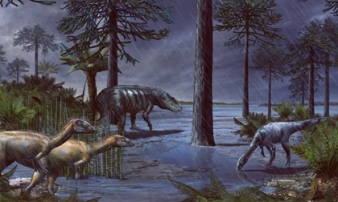 230 triệu năm trước, trên trái đất đã xảy ra một trận mưa lớn kéo dài suốt 2 triệu năm, đưa loài khủng long lên ngai vàng thống trị trái đất