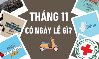 Tháng 11 có gì đặc biệt?