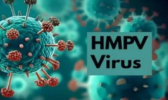 Virus HMPV là gì? Virus đang lây lan bệnh hô hấp tại Trung Quốc có nguy hiểm như Covid-19?