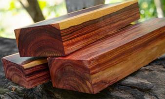 1 loại gỗ ở Việt Nam được mệnh danh là 'báu vật rừng xanh', có thời điểm giá lên tới nửa tỷ/m³