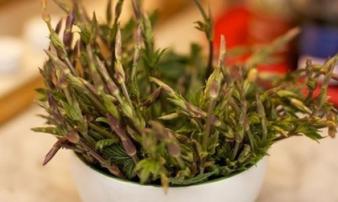 Loại rau từng bị xem là phế phẩm, hiện có giá trị cao nhất thế giới: Người giàu sẵn sàng chi đến 40 triệu đồng cho 1kg Loại rau từng bị xem là phế phẩm, hiện có giá trị cao nhất thế giới: Người giàu sẵn sàng chi đến 40 triệu đồng cho 1kg