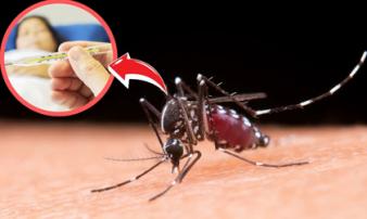 Một căn bệnh nguy hiểm tại Việt Nam đang vào mùa cao điểm: Vừa trò chuyện, vài phút sau đã tử vong Một căn bệnh nguy hiểm tại Việt Nam đang vào mùa cao điểm: Vừa trò chuyện, vài phút sau đã tử vong