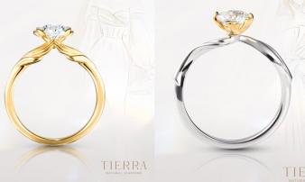 Nhẫn cầu hôn Tension: Lựa chọn tinh tế cho ngày cầu hôn rực rỡ