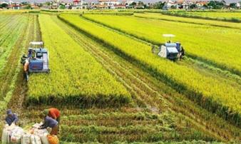 Các trường hợp được miễn thuế sử dụng đất nông nghiệp đến năm 2030