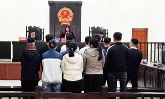 Làm giả hàng nghìn giấy phép lái xe, 13 bị cáo lĩnh án