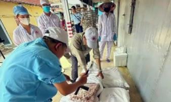 Công an Hải Phòng thông tin về vụ bắt hơn 130 tấn thịt lợn nhiễm dịch