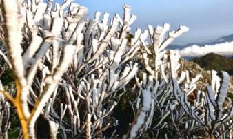 Không khí lạnh mở rộng ảnh hưởng, rét đậm duy trì ở Bắc Bộ