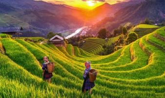 Việt Nam được đánh giá là 'quốc gia rẻ nhất thế giới' 