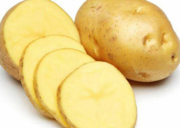 4 thực phẩm chớ dại ăn tái kẻo rước chất độc vào người, nhập viện có ngày