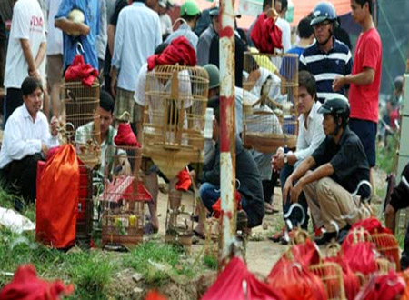 Nút giao thông này có tổng chiều dài gần 500 m, với điểm đầu là đường Hoàng Hoa Thám và điểm cuối là đường ven hồ Tây, thuộc địa bàn các phường Thuỵ Khuê (quận Tây Hồ) và cắt ngang phố Văn Cao- phường Liễu Giai (quận Ba Đình)