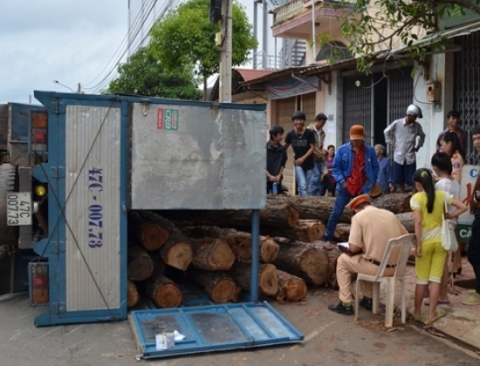 Hàng chục lóng gỗ tròn lăn vào nhà khiến người dân hoảng loạn - Ảnh: Thục Anh