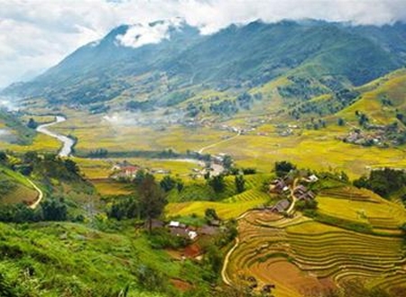 Sapa