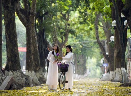 Hà Nội mùa lá vàng rơi