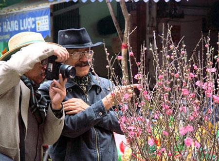 Hoa đào đem không khí Tết đến mọi nhà