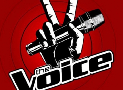 BTC The Voice phiên bản Việt đã dùng đến không ít 