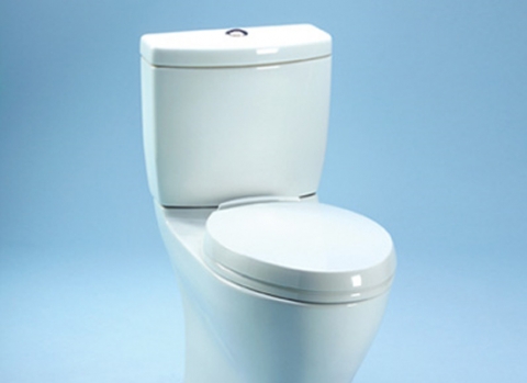 Toilet là nguyên nhân gây ra nhiều cái chết bất ngờ