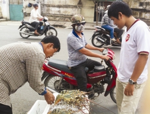 Tôm hùm bán tràn lan ở lề đường.