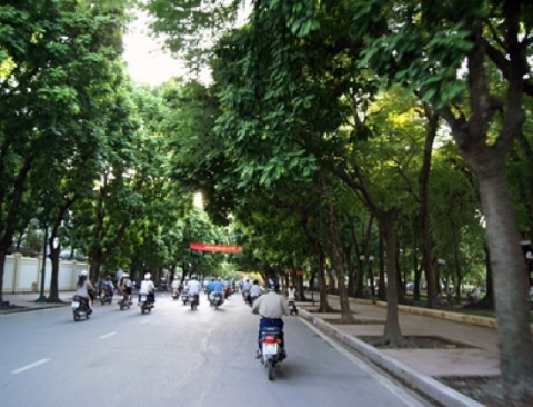 Đường Trần Phú (Ảnh: Internet)