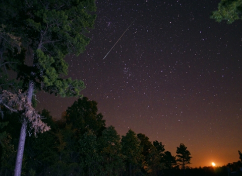 Một vệt sao rơi trong trận mưa sao băng Perseid ở Arkansas, Mỹ.