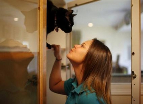 Cô nhân viên đang mở cửa thăm hỏi một bé mèo tại phòng riêng ở khu nghỉ dưỡng Pet Paradise