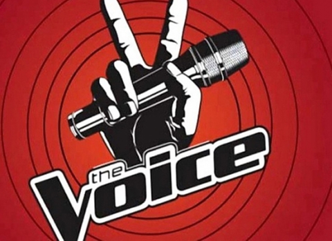 The Voice - Giọng hát Việt 2012 sau khi phát sóng đã nhận được sự hưởng ứng nhiệt tình từ phía khán giả.