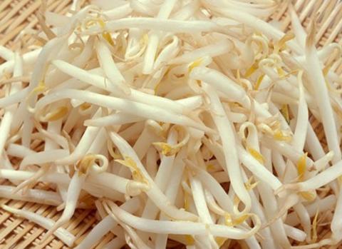 Giá đỗ ủ với hóa chất 'mười cọng như một'. Ảnh minh họa