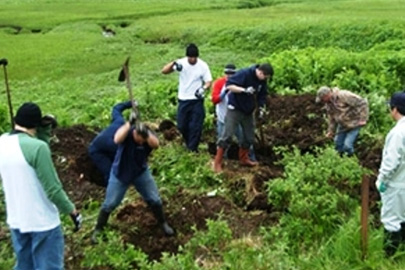 Sau khi giết mẹ, nghịch tử đã mang ra gò đất gần nhà để chôn giấu (Ảnh minh họa)