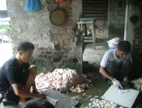 Bì lợn được nạo mỡ, sơ chế trước khi luộc và mang phơi.