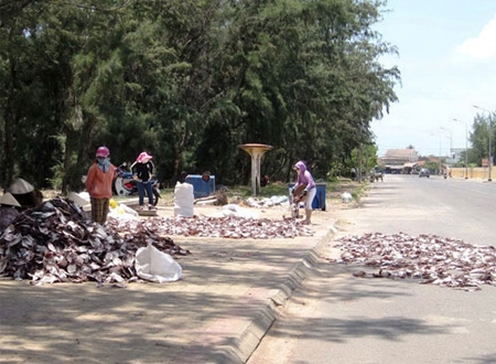 Mực, cá khô phơi đầy đường cạnh một bãi rác trên đường Độc Lập, TP Tuy Hòa - Phú Yên