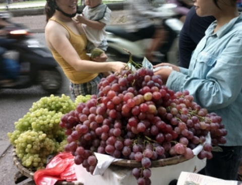 Các loại nho nghi của Trung Quốc bán tràn lan trên đường phố Thủ đô