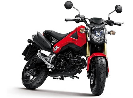 Dòng xe côn tay MSX125 là một trong những dòng xe chiến lược của Honda trên toàn cầu, hướng tới nhóm khách hàng trẻ