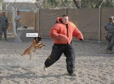 Bao nhiêu người sao mày không đuổi, tại sao lại cứ theo tao