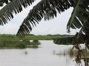 Khu đầm nhà ông Đoàn Văn Vươn