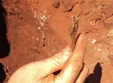 Xương người tìm thấy đã phân hủy gần như hoàn toàn