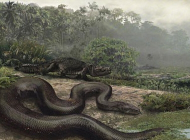 Loài rắn khổng lồ trong quá khứ sẽ quay lại vì sự nóng lên toàn cầu