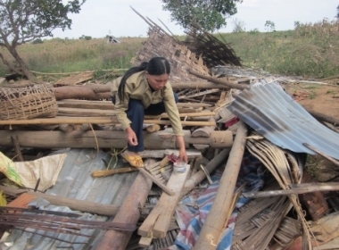 Voi rừng làm sập nhà dân.