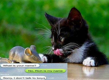 Thế là em thua anh rồi, anh có bạn trai rồi đấy!