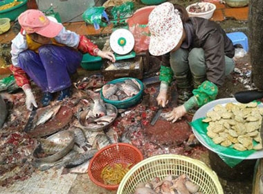 Chứng kiến cảnh làm thịt cá tưởng chừng không ai dám mua nhưng thực tế cá làm xong đều có mối đến thu gom hết.