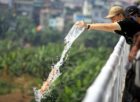 Cá chép và rác được phi thẳng xuống sông