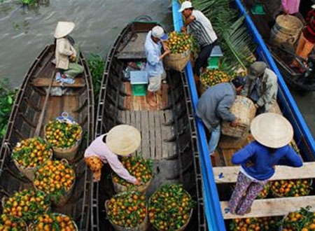 Quýt hồng Lai Vung (Đồng Tháp) đắt như tôm tươi tại chợ nổi Phong Điền