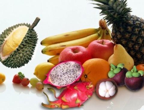 Trong một số loại cây trái có chứa các hoạt chất làm trung hòa lượng cồn của rượu.