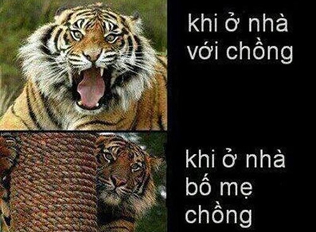 Khi ở nhà bố mẹ chồng khác với khi ở nhà