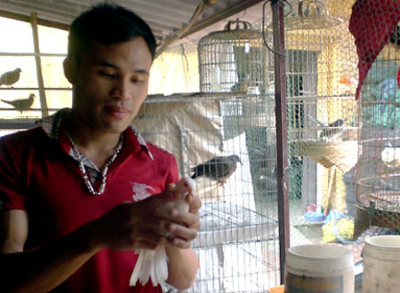 Anh Phúc chăm sóc những chú chim trong trang trại.