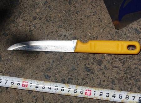 Con dao gây án (Ảnh minh họa)