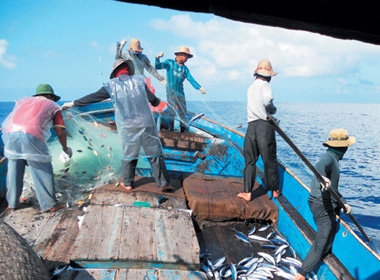 Ngư dân Quảng Ngãi đang đánh bắt cá ở vùng biển thuộc quần đảo Hoàng Sa