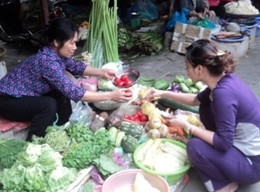 Nguồn cung dồi dào, giá rau xanh giảm mạnh. (Ảnh: Thanh Tâm/Vietnam+)