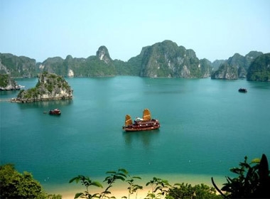 Công ty cổ phần Xuất nhập khẩu thủy sản Quảng Ninh đã xả thẳng nước thải không qua xử lý xuống bờ vịnh Hạ Long